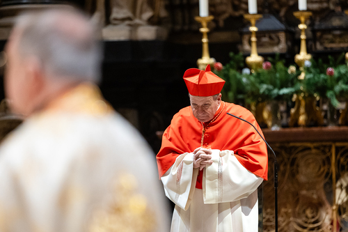 Göttlichen Liturgie / Erzdiözese Wien/ Schönlaub, Stephan Schönlaub