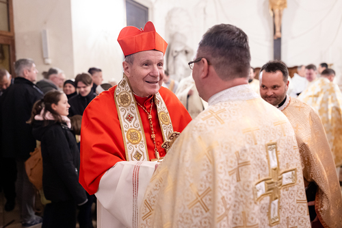 Göttlichen Liturgie / Erzdiözese Wien/ Schönlaub, Stephan Schönlaub